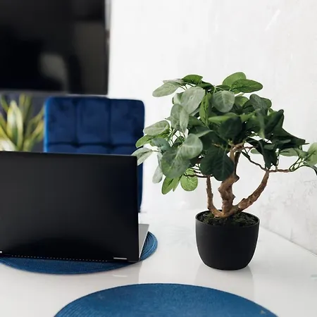 Silver 4 * 슈체친